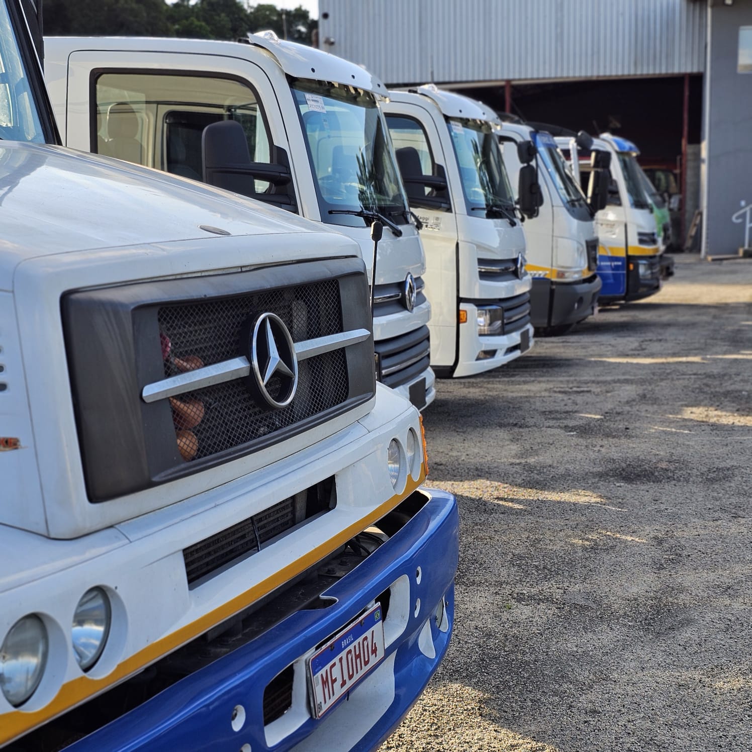 Frota Thurenzo — caminhões plataforma alinhados na base operacional